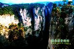 【純玩拼團(tuán)線路6】張家界、黃龍洞、天門山、天子山三晚四日游