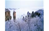 春節(jié)旅游：張家界、袁家界、天子山、寶峰湖/黃龍洞度假二晚三日游